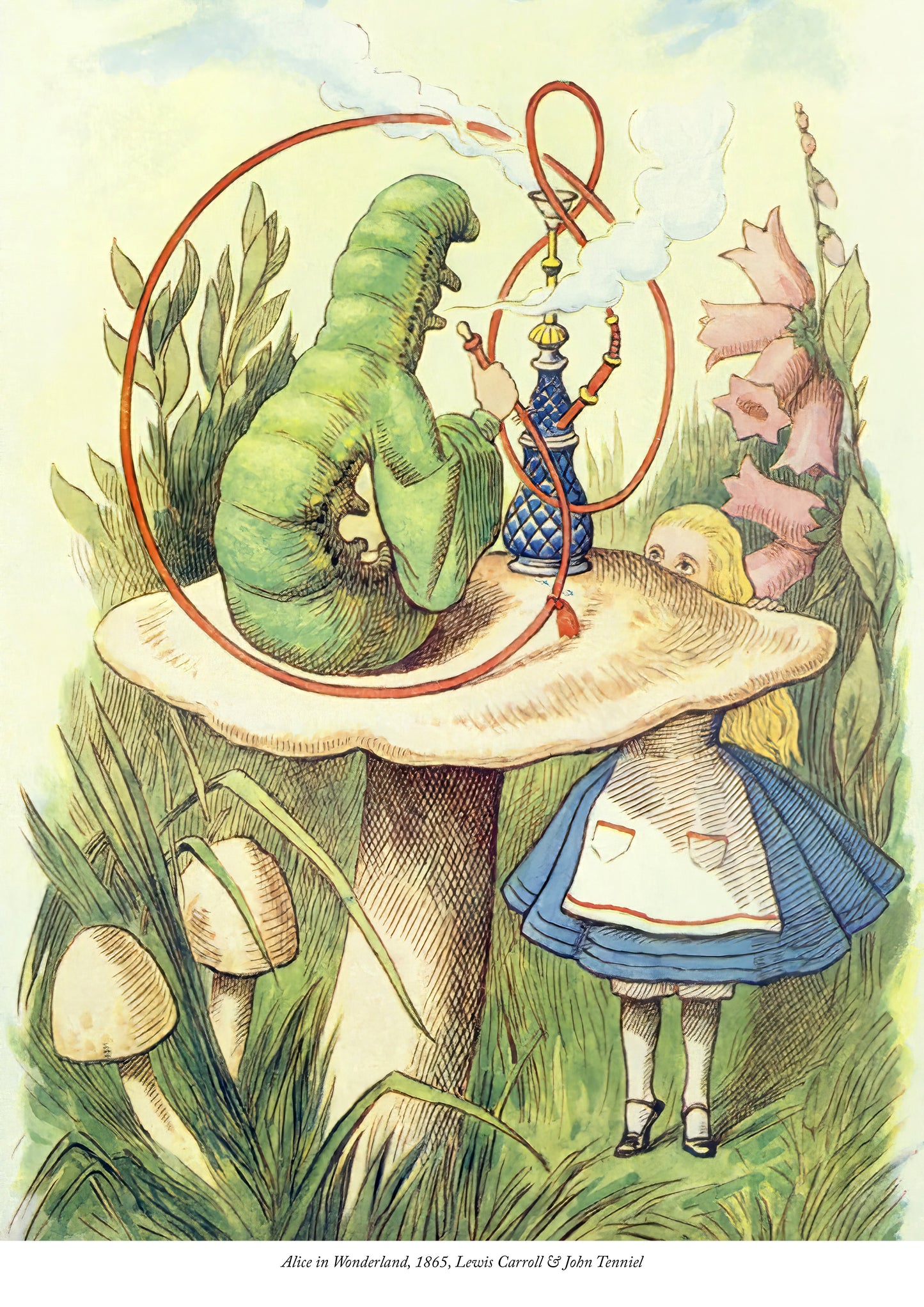 The caterpillar