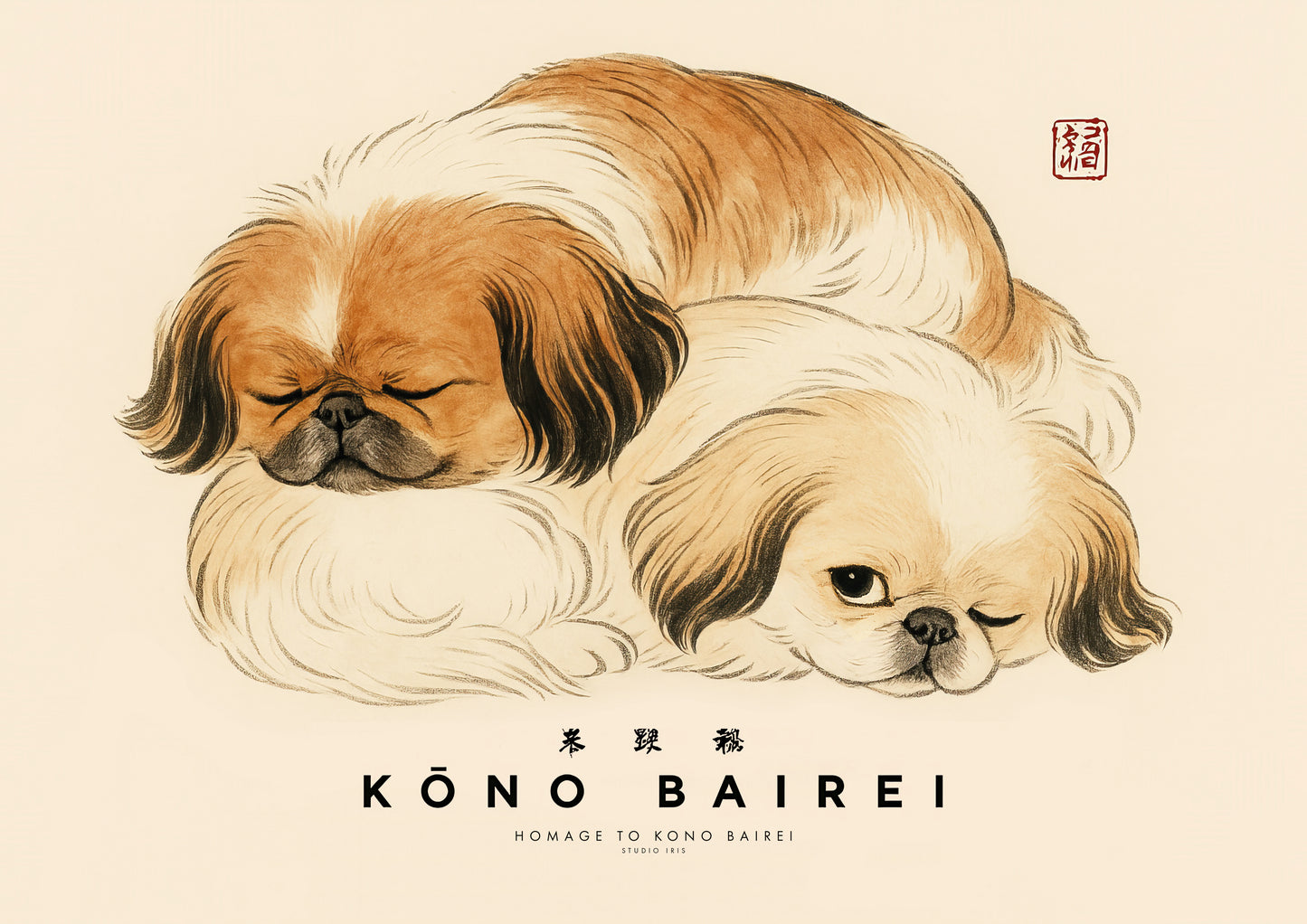 Pekingese
