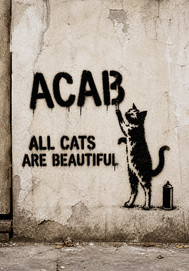 All Cats Are Beautiful