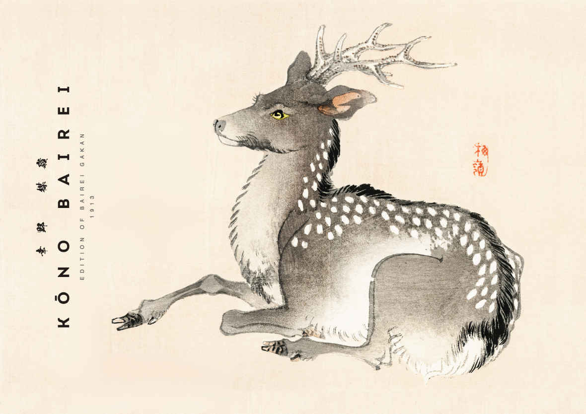 Deer