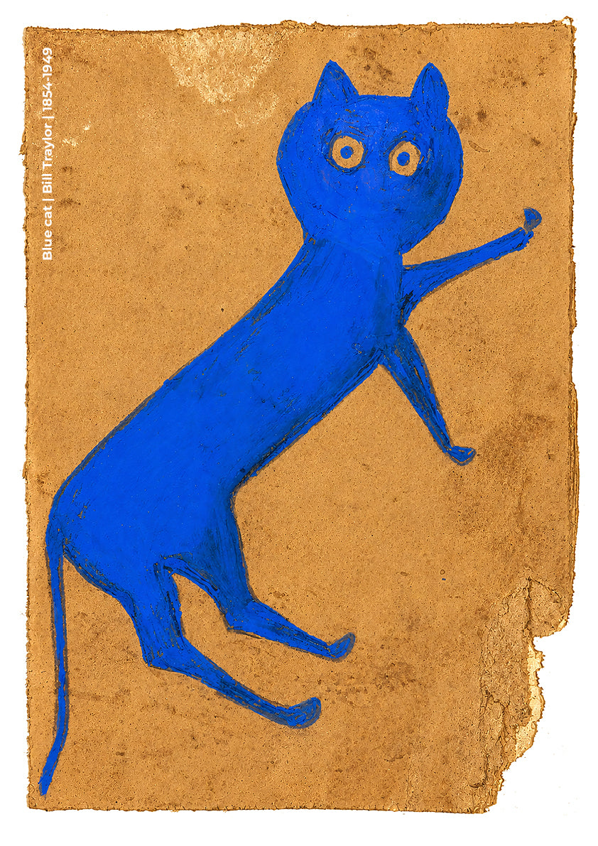 Blue cat