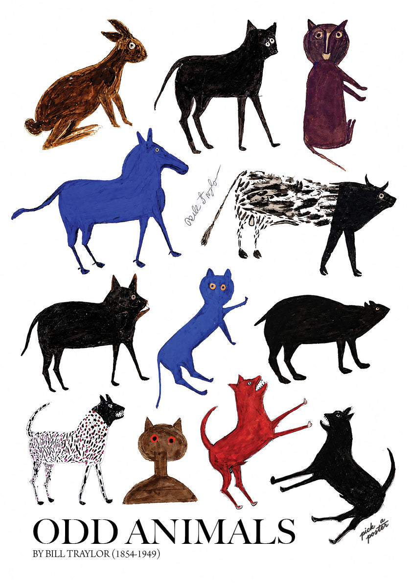 Odd Animals