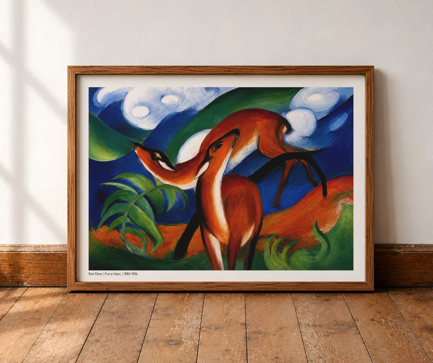 Red Deer