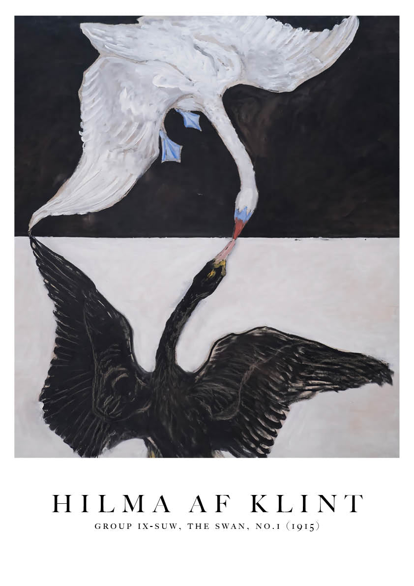 Swans no.1