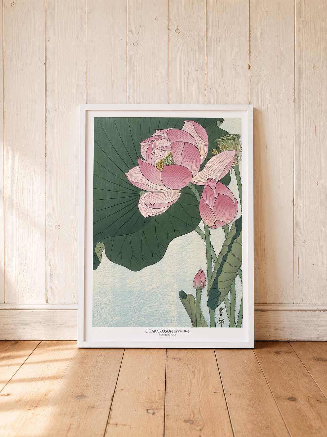 Blooming Lotus Flowers