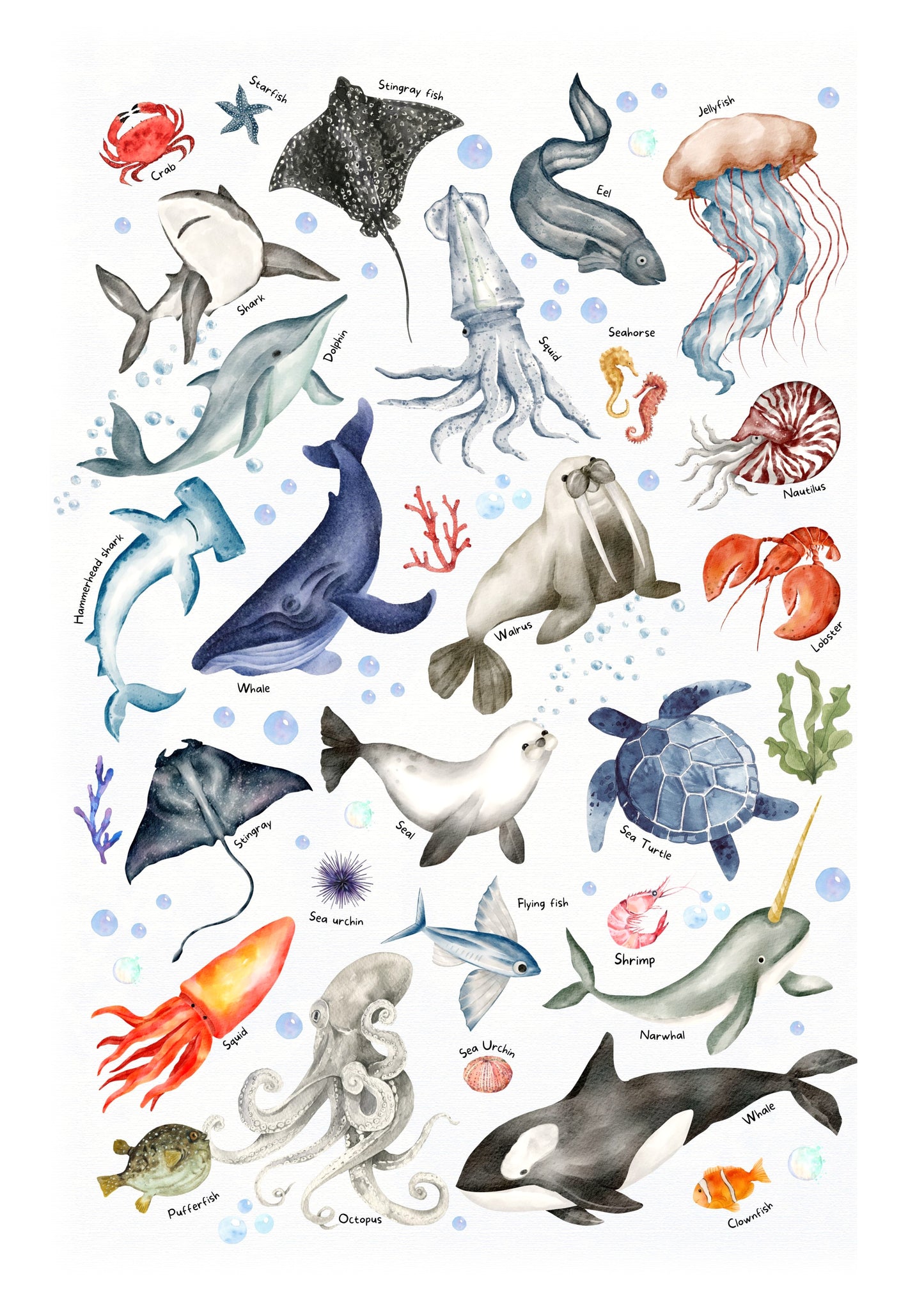 Marine animals