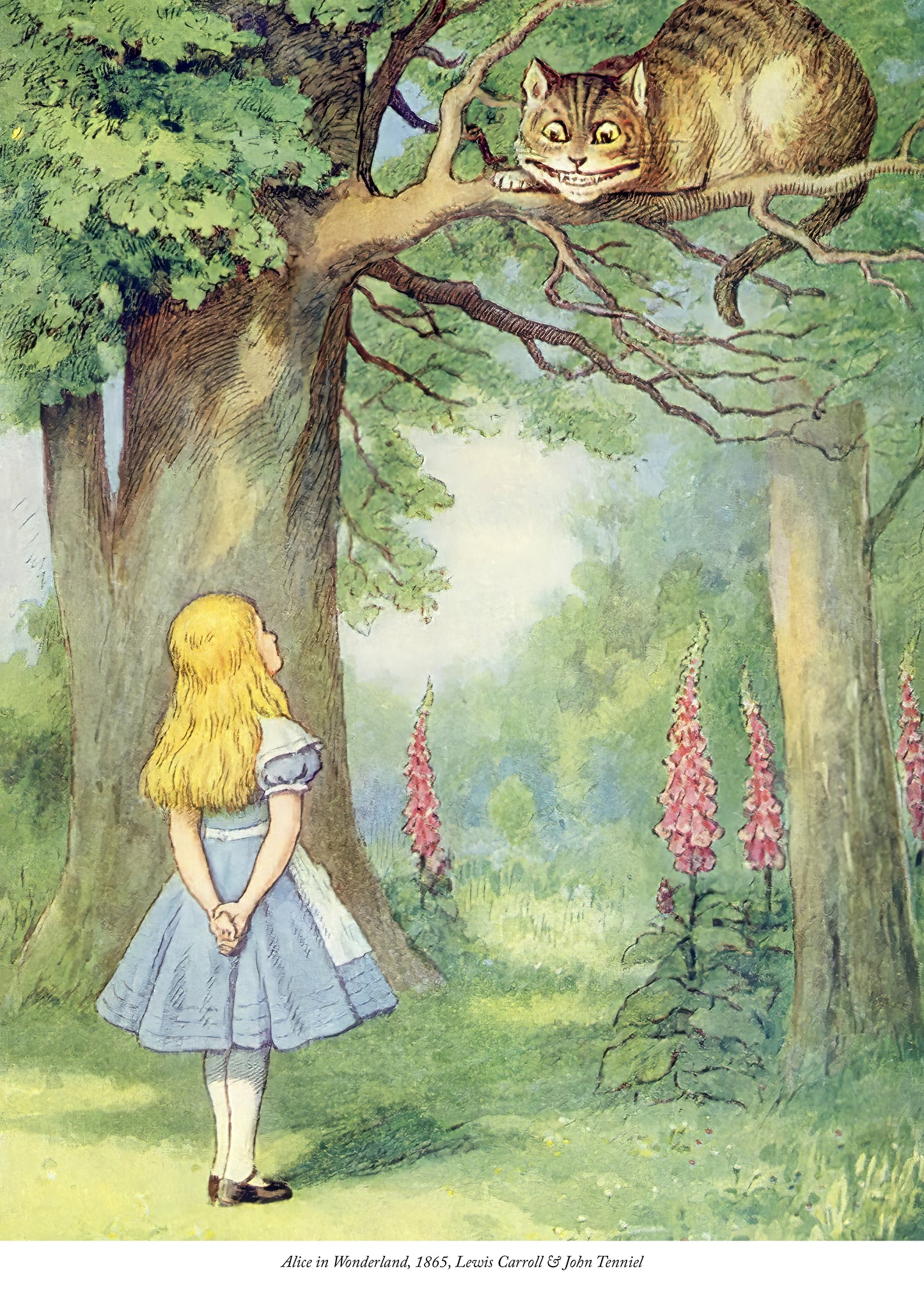 The Cheshire Cat