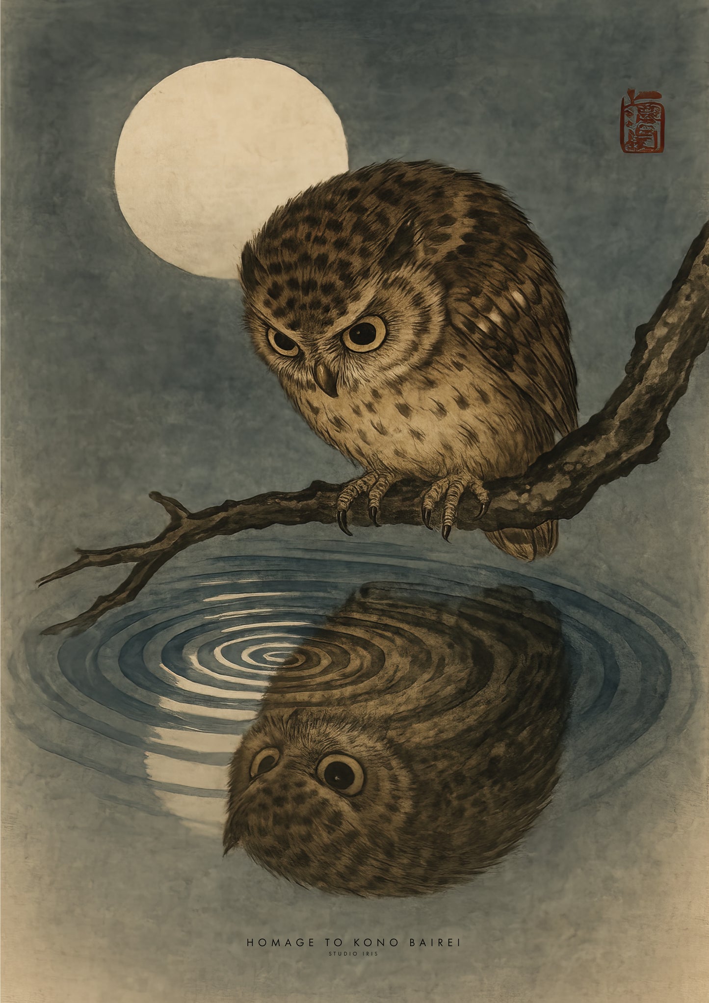 Owl over water