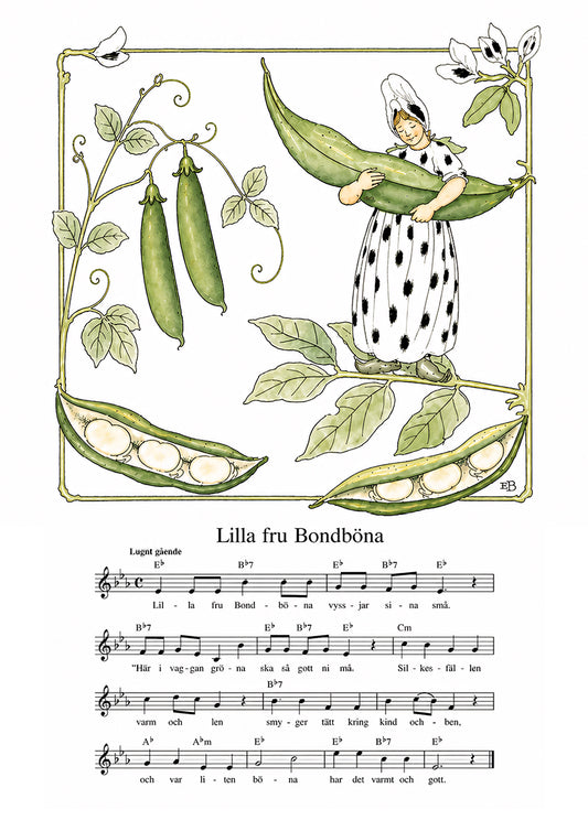 Lilla fru Bondböna