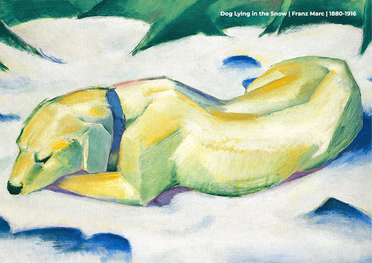 Dog Lying in the Snow
