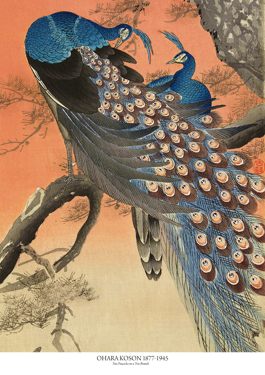 Two Peacocks on a Tree Branch