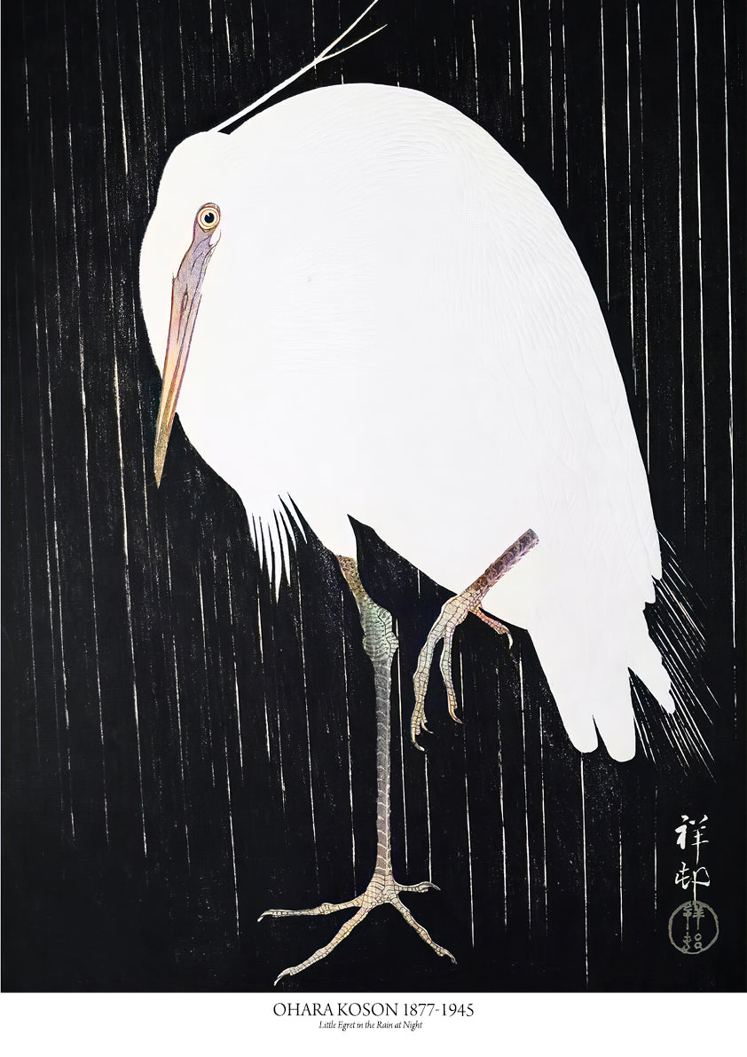 Little Egret in the Rain