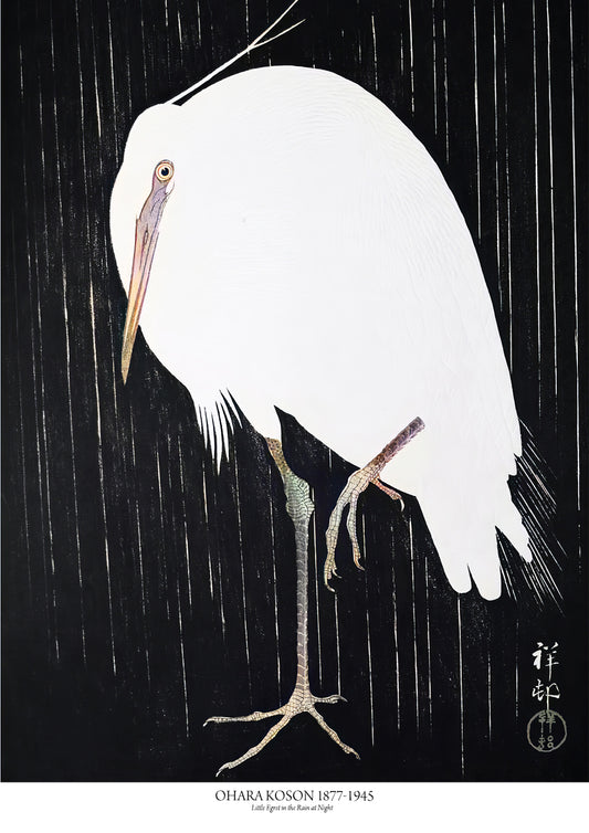 Little Egret in the Rain