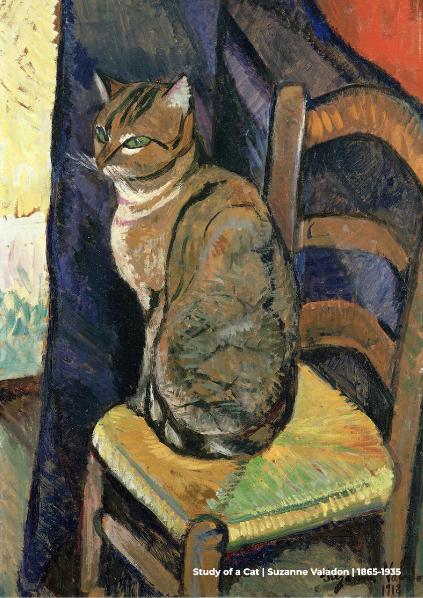 Study of a Cat
