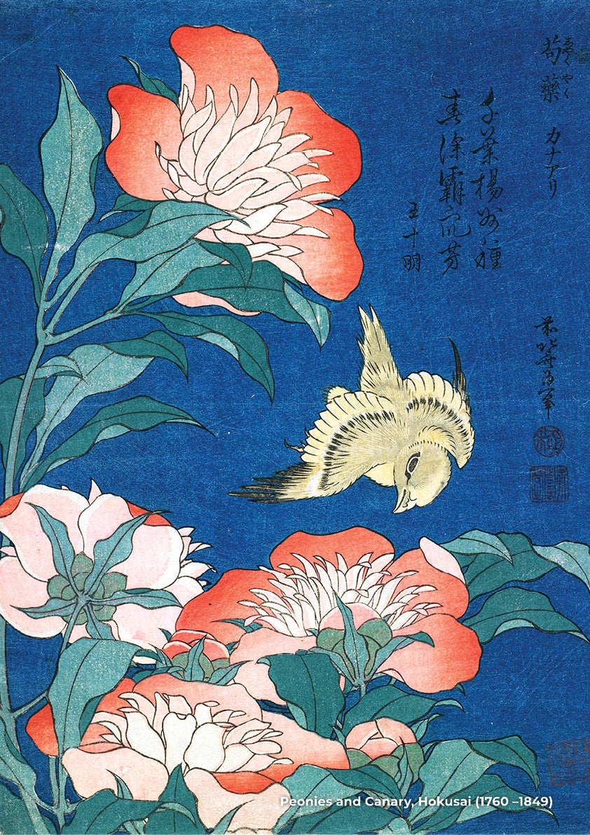 Peonies and Canary