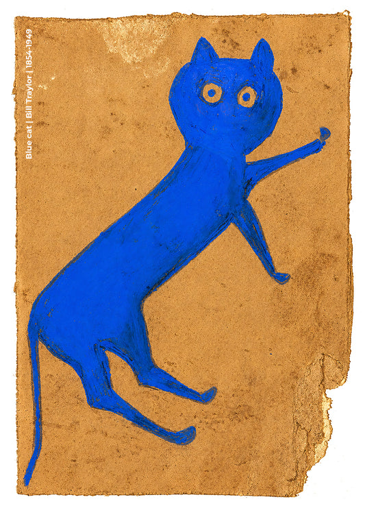 Blue cat