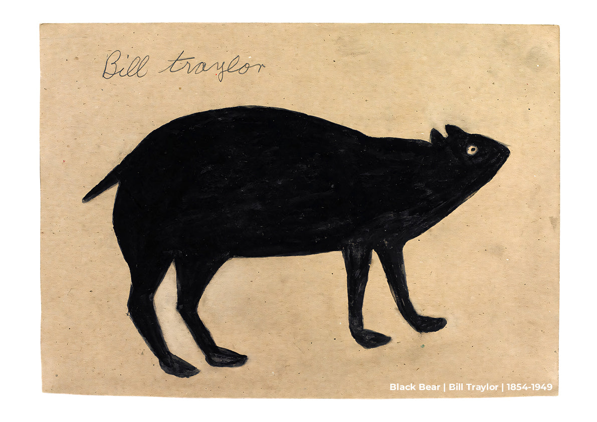 Black Bear