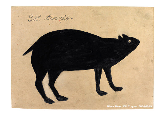 Black Bear