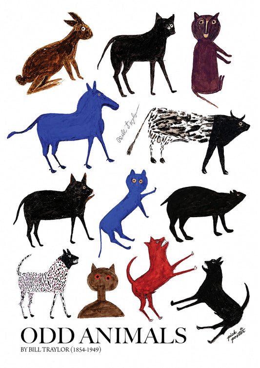 Odd Animals