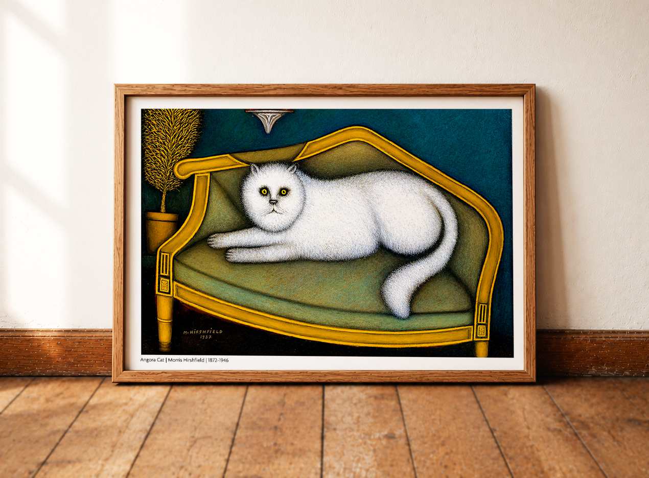 Angora Cat
