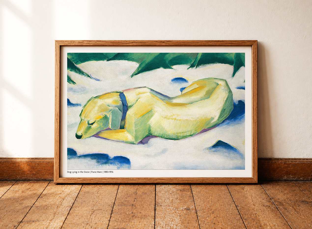 Dog Lying in the Snow