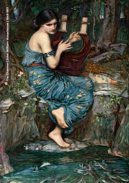 The Charmer
