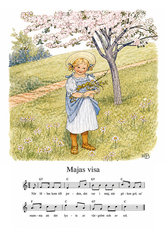 Majas visa