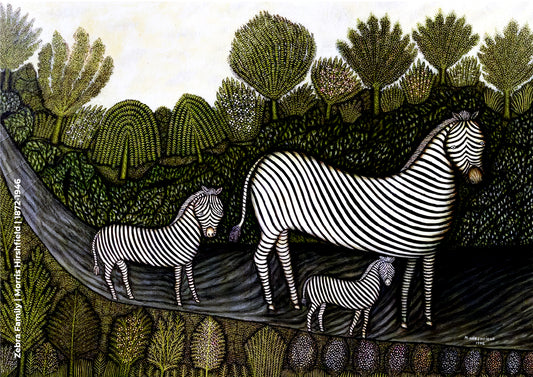 Zebra Family
