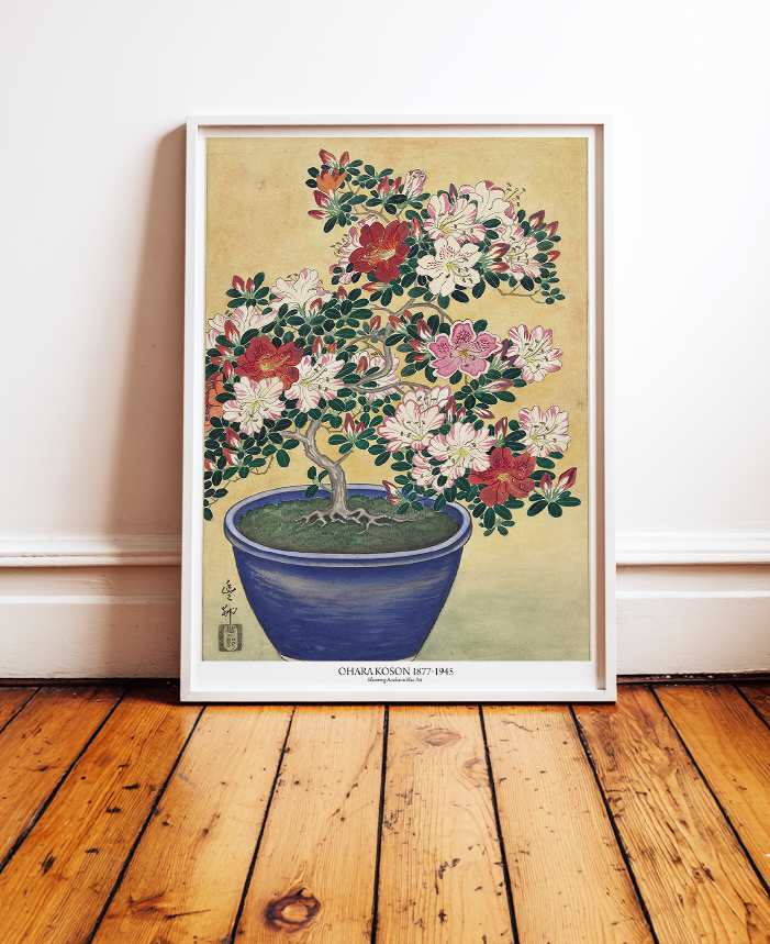 Blooming Azalea in Blue Pot