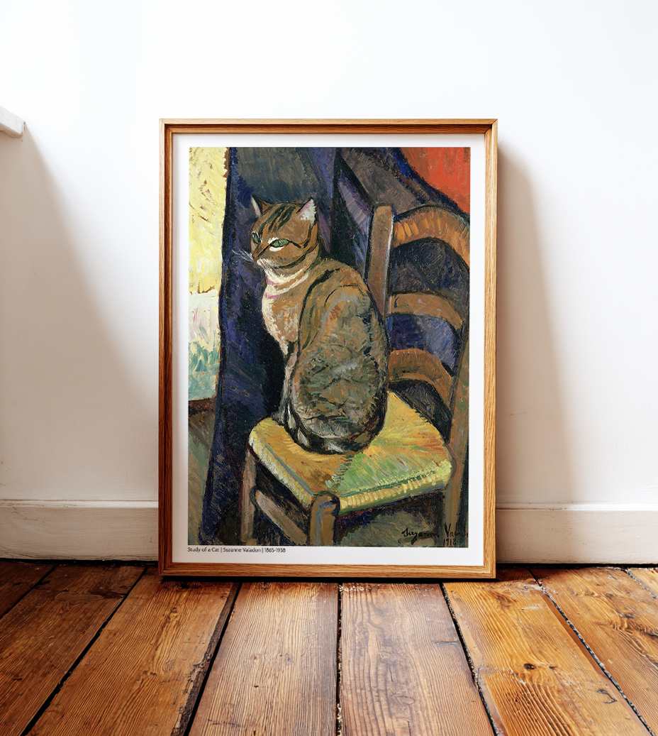 Study of a Cat