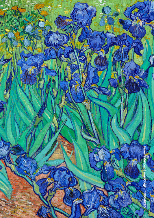 Irises